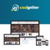 CSS Igniter BusinessTwo WP Theme