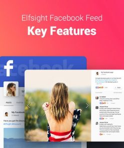 Facebook Feed – WP Facebook Plugin