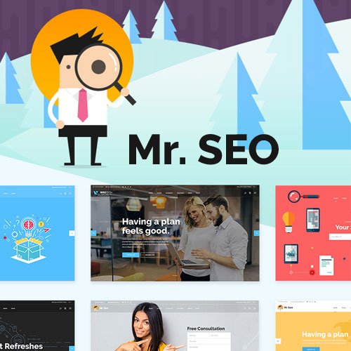 Mr-SEO-SEO-Marketing-Agency-and-Social-Media-Theme Mr. SEO - Social Media Marketing Agency WP Theme
