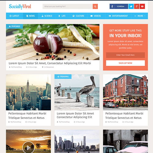MyThemeShop-SociallyViral-WordPress-Theme MyThemeShop SociallyViral GPL