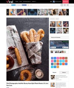 MyThemeShop Viral WordPress Theme