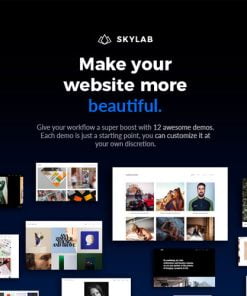 Skylab – Portfolio / Photography WP Theme