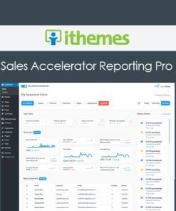 iThemes Sales Accelerator Reporting Pro