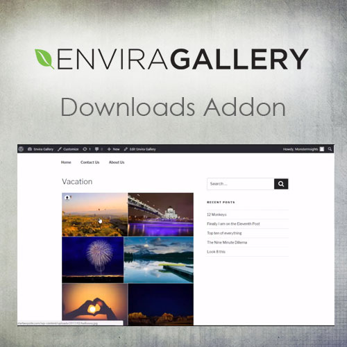 Envira-Gallery-–-Downloads-Addon Envira Gallery – Downloads Addon