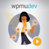 WPMU Dev Beehive Pro GPL