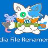 Media File Renamer Pro