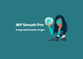 download (62) WP Smush Pro GPL