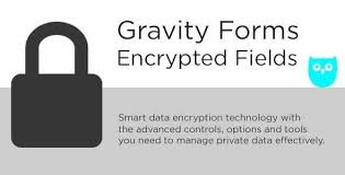 download Gravity Forms Encrypted Fields Addon GPL