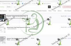 Zapedah Theme GPL