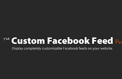 Custom Facebook Feed Pro GPL