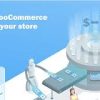 Woocurrency by Woobewoo PRO GPL