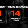Fitrush Theme GPL