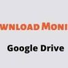 Download Monitor Google Drive GPL